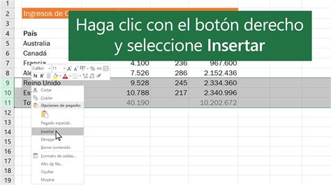 comando para insertar filas en excel|Insertar o eliminar filas y columnas